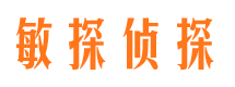 成武市调查公司